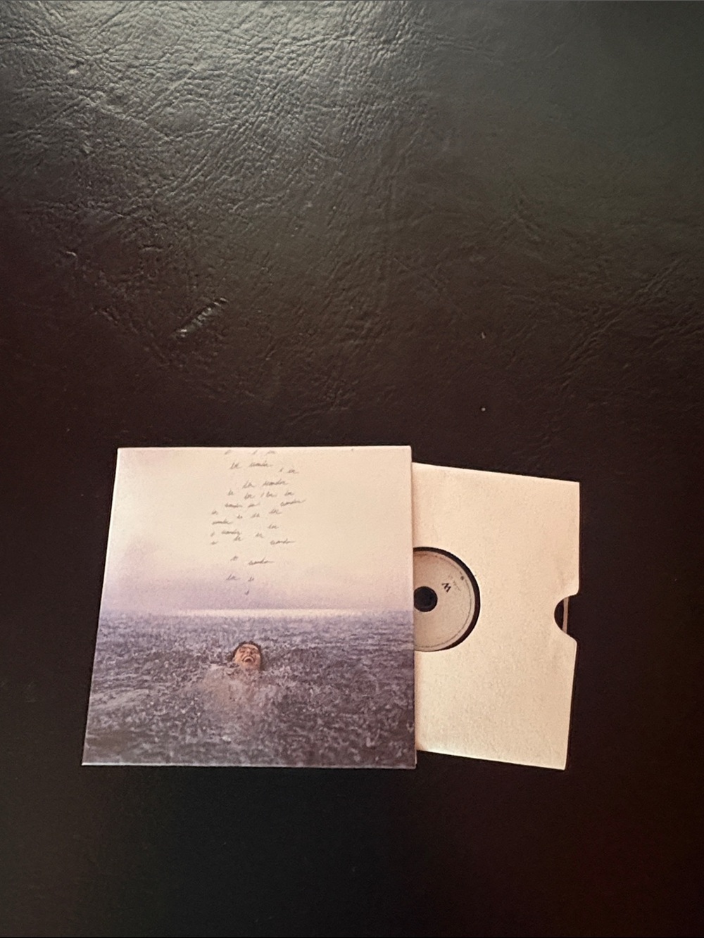 Zuru mini brands Shawn Mendez vinyl